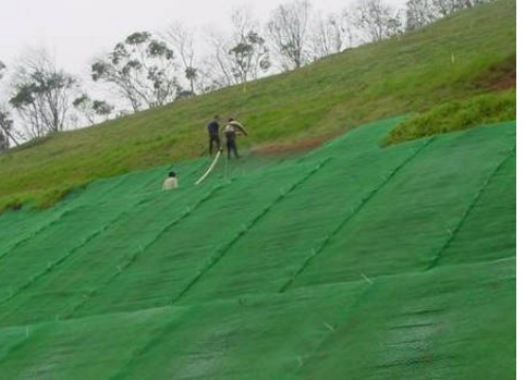 三维植被网护坡绿化施工